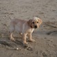 La playa por primera vez, con dos meses y medio